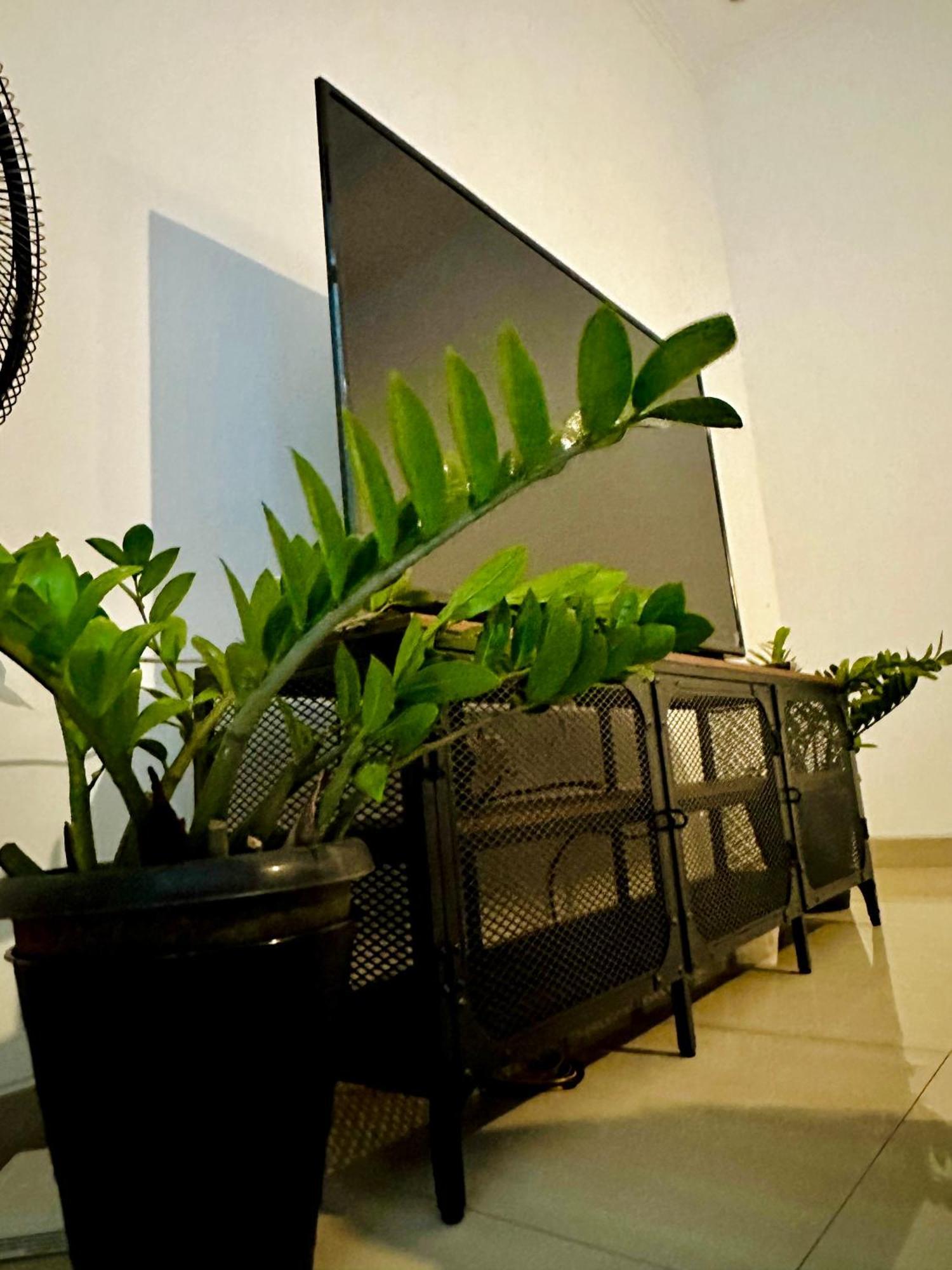 4-Bedroom Home In South Jakarta Nuansa Swadarma Residence By Le Ciel Hospitality Exterior photo